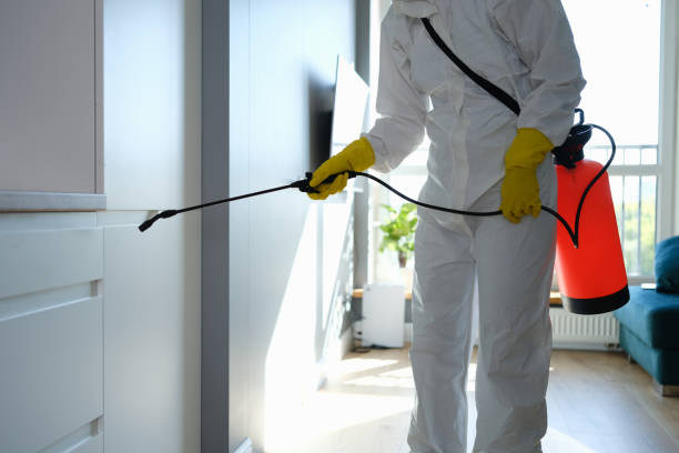 Best Toxic Mold Removal  in Laware City, DE