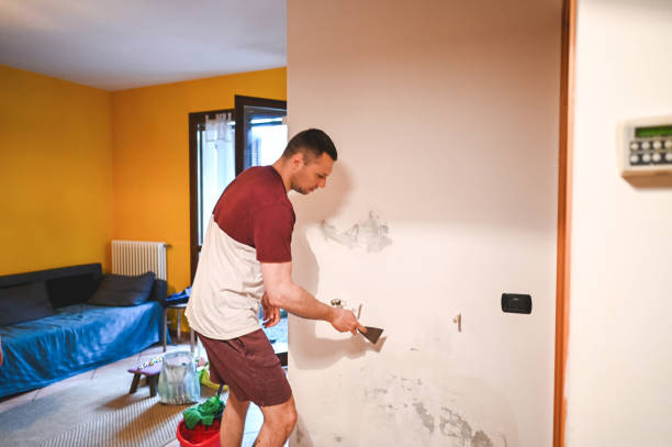 Best Attic Mold Removal  in Laware City, DE